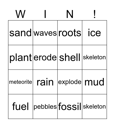 Fossils Bingo Card