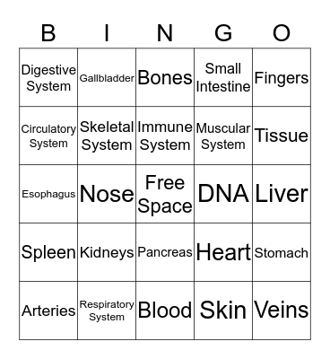 Human Body Bingo Card