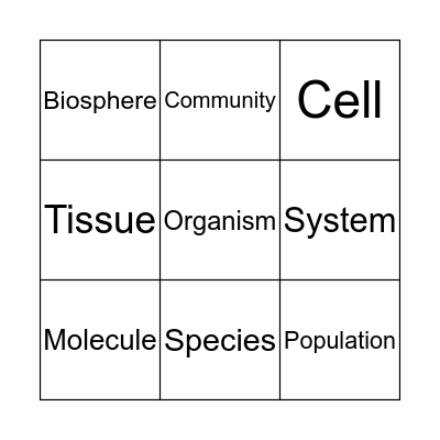 Levels of Organisation Bingo Card
