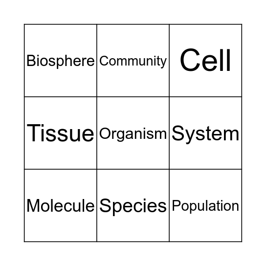 Levels of Organisation Bingo Card