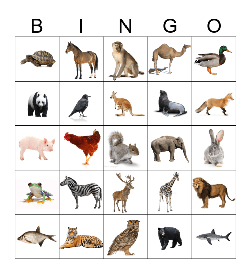 Project Connect Animal Bingo Card