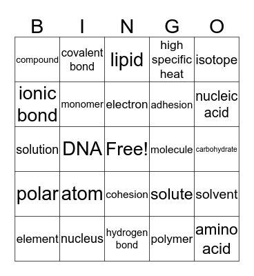 The Chemistry of Life Bingo Card