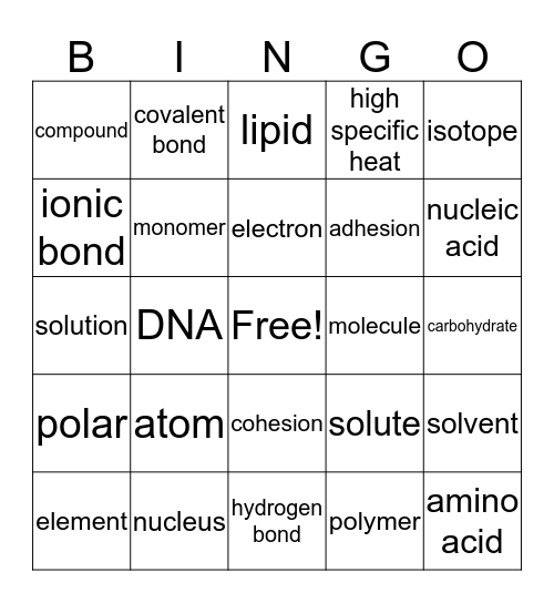 The Chemistry of Life Bingo Card