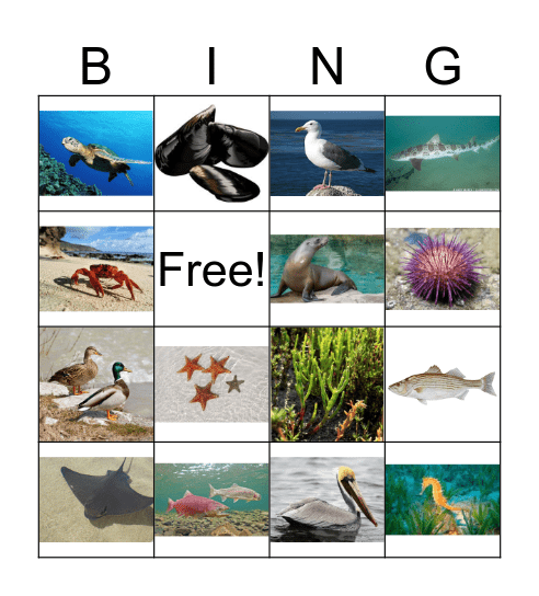 BAY BINGO Card