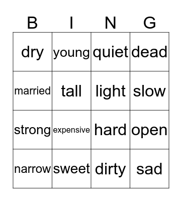 Opposties Bingo Card