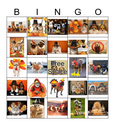 AOA Turkey Bingo! Bingo Card