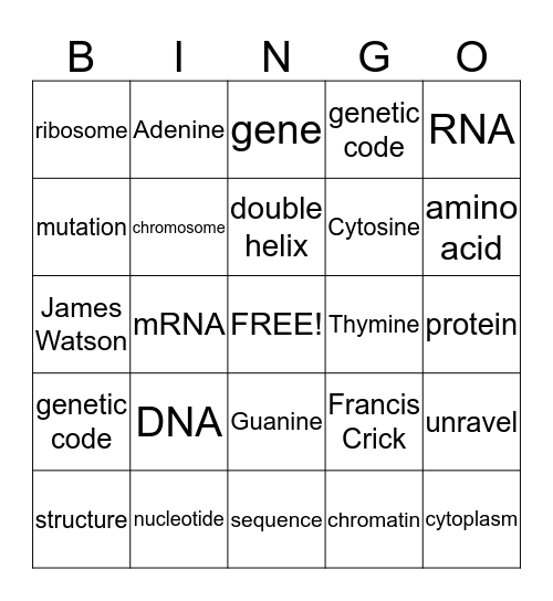 Chapter 7 - Genes and DNA Bingo Card