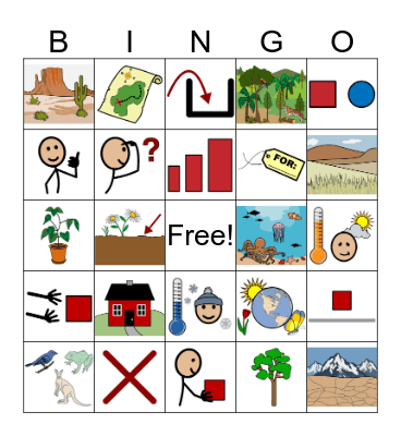 What is an Ecosystem? Bingo Card