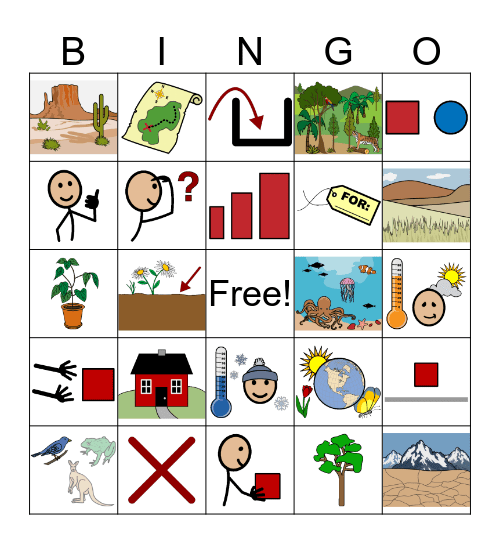 What is an Ecosystem? Bingo Card