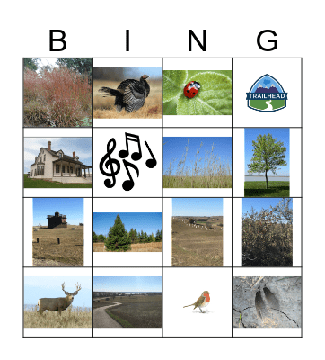 nature bingo game