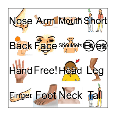 Bingo: My Body! Bingo Card