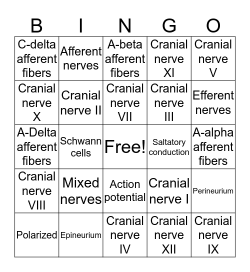 Peripheral Nervous System Bingo Card