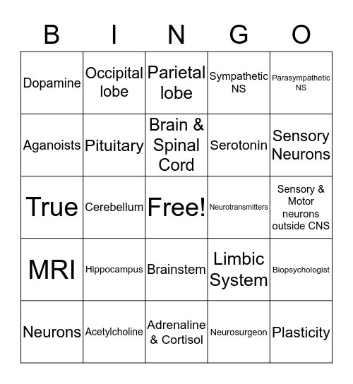 Biopsychology Bingo Card