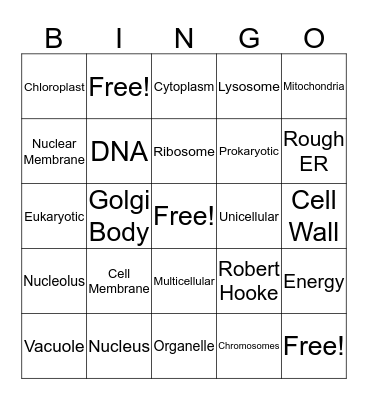 Science Chapter 3 Review Bingo Card