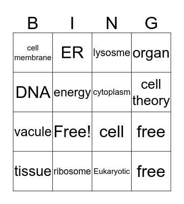 science review Bingo Card