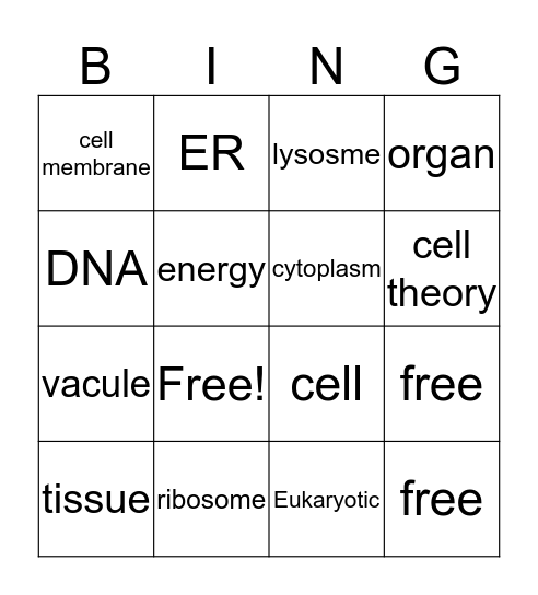 science review Bingo Card