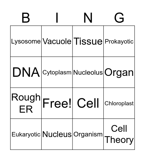 Science Chapter 3 Bingo Card