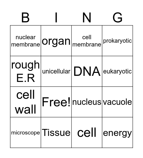 Review Chapter 3 Bingo Card