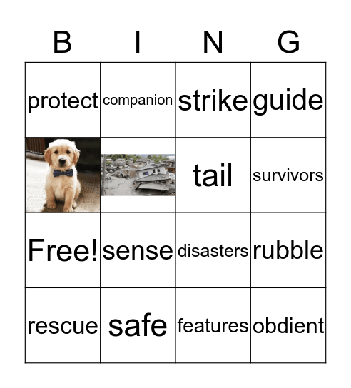 RESCUE DOG Bingo Card