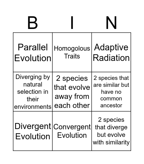 Evolution Bingo Card