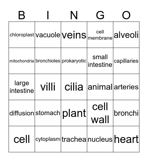 Unit 1 Review Bingo Card
