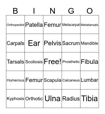 The Skeletal System  Bingo Card