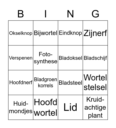 Planten Bingo Card