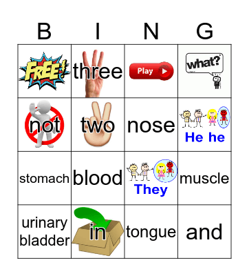 Sight Words Bingo Card