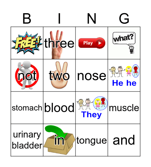 Sight Words Bingo Card