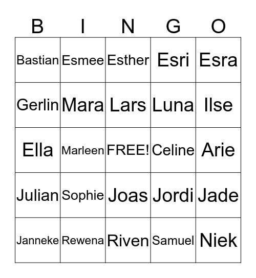 Bavinck Bingo Card