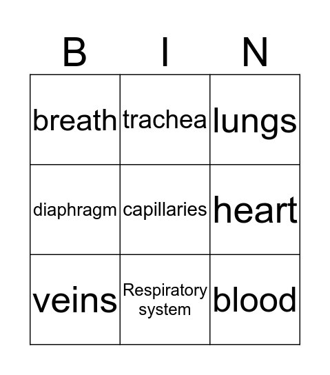 Circulatory and Respiratory Systems Bingo Card