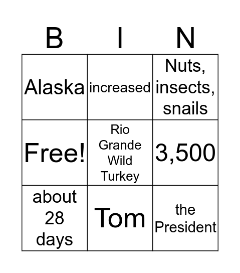 Turkey Bingo Card