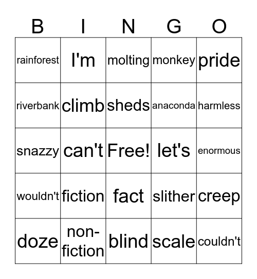 RW 1.1-3 Bingo Card