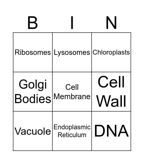 Organelles Bingo Card