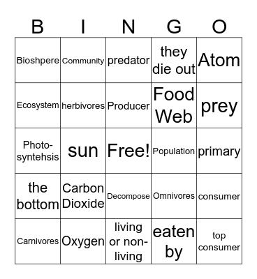 Food Web  Bingo Card