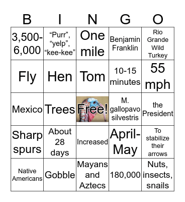 Turkey Trivia Bingo Card