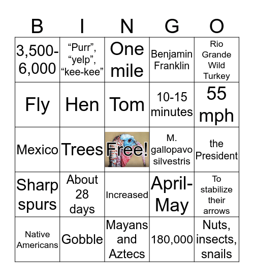 Turkey Trivia Bingo Card