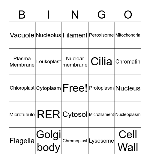 Cell Organelles  Bingo Card