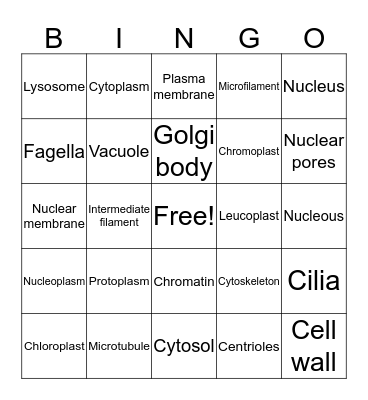 Bio bingo Card