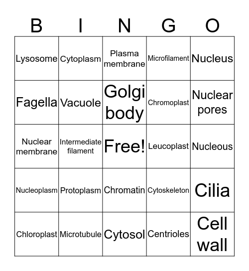 Bio bingo Card