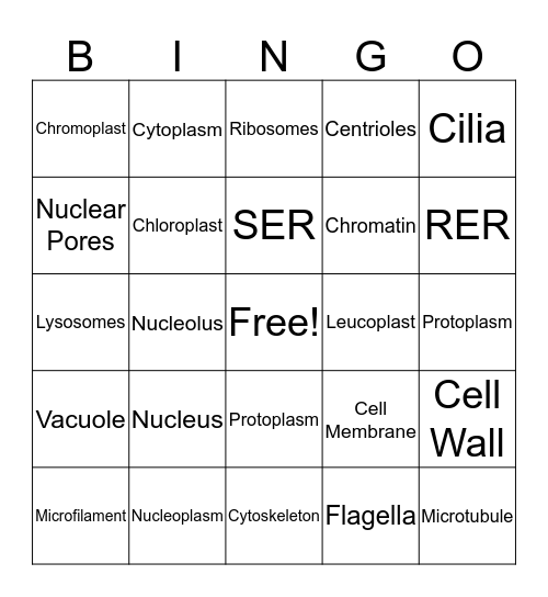 Organelle Terms Bingo Card