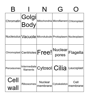 Bio Bingo Card