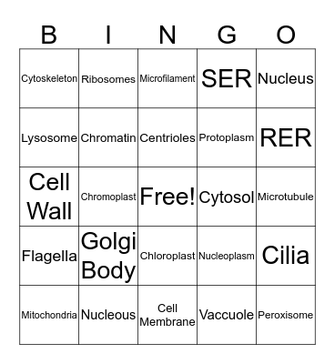 Cell Oranelles Bingo Card