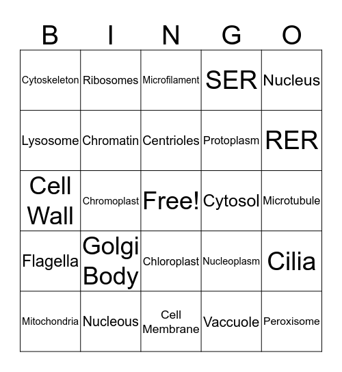 Cell Oranelles Bingo Card