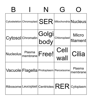 Cell organelles bingo Card