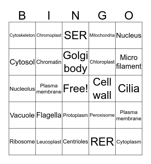 Cell organelles bingo Card