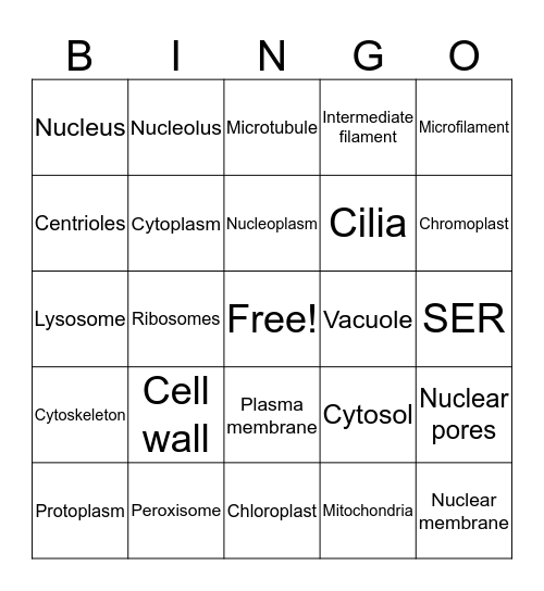Cell Organelles Bingo Card