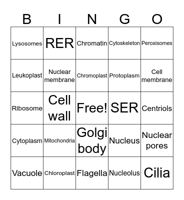 Cell Organelles Bingo Card