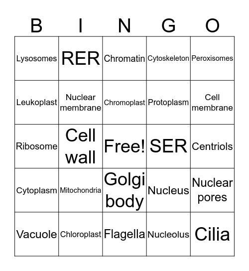 Cell Organelles Bingo Card