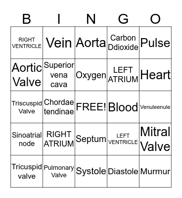 Cardiovascular System!  Bingo Card